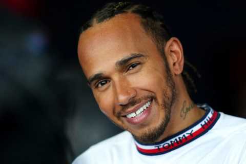 Lewis Hamilton ‘ready for something special’ as resurgent Brit comes out fighting in Silverstone qualifying downpour