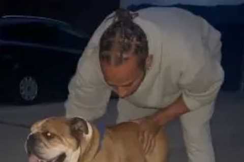 Lewis Hamilton teaches vegan bulldog Roscoe how to SKATEBOARD as F1 star pumps iron ahead of French GP