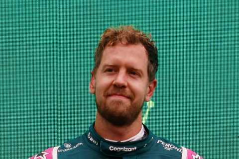 From picking up litter to LGBTQ fight and saving bees – Vettel is more than an F1 great having promoted vital causes