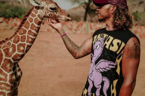 Fans all say the same thing as Lewis Hamilton reveals dramatic new hairdo as he pets baby giraffe and elephant in Kenya