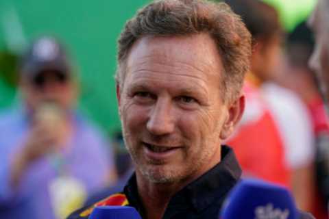 Horner claims Lewis Hamilton has NEVER praised Verstappen… despite seven-time F1 champ calling rival a ‘great talent’
