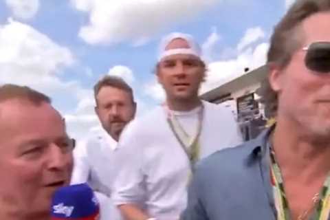 Hollywood star Brad Pitt awkwardly snubs Sky Sports presenter Martin Brundle during US Grand Prix grid walk