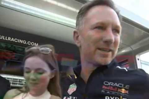 Christian Horner breaks down in tears as he hugs Spice Girls star wife Geri Halliwell after Red Bull win F1 title