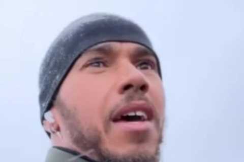 Lewis Hamilton goes on 11km run in Antarctica and jogs past penguins and seals in freezing conditions on his birthday