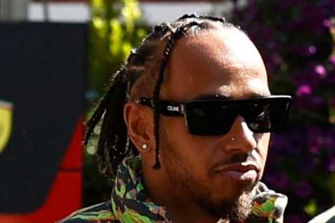 Lewis Hamilton breaks silence after Nelson Piquet is fined £780,000 for vile racist and homophobic remarks about F1 star
