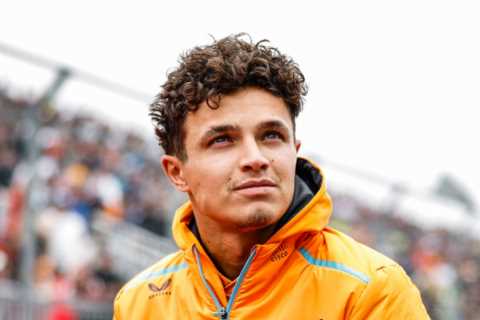 F1 ace Lando Norris is victim of ‘expensive robbery’ at Marbella villa two years after he was ‘mugged for £40k watch’