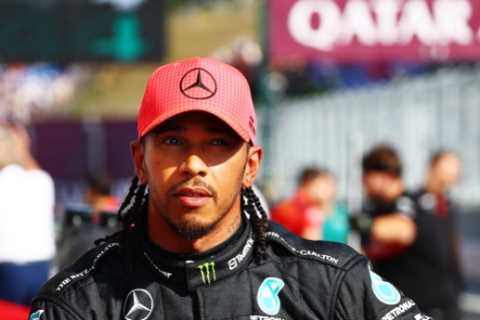 Lewis Hamilton on pole for first time in 595 DAYS after stunning qualifying lap at F1 Hungarian Grand Prix