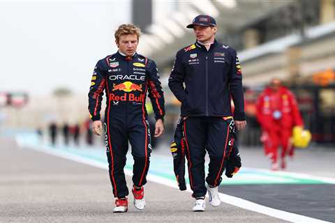 Surviving the Red Bull Curse: Verstappen Drops Truth Bombs on How Team-mates Can Actually Keep Up