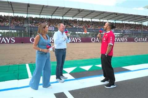 Hamilton Just Roasted Martin Brundle on Live TV and I'm Still Laughing